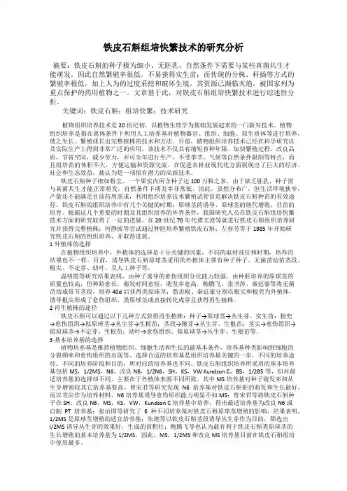 铁皮石斛组培快繁技术的研究分析