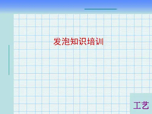 发泡知识培训
