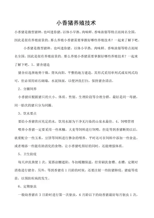 小香猪养殖技术