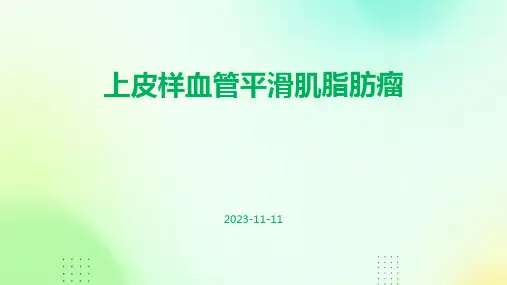 上皮样血管平滑肌脂肪瘤