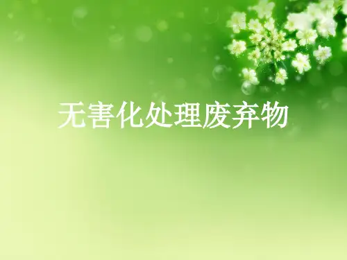 无害化处理废弃物优秀课件