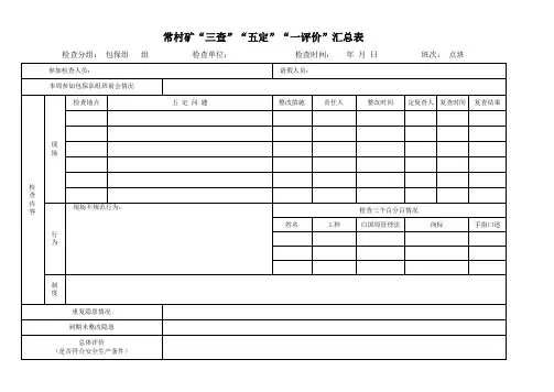 三查五定一评价汇总表(新表)