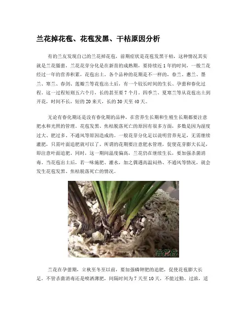 兰花掉花苞、花苞发黑、干枯原因分析课件