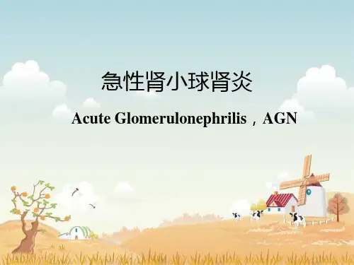 小儿急性肾小球肾炎精品PPT课件