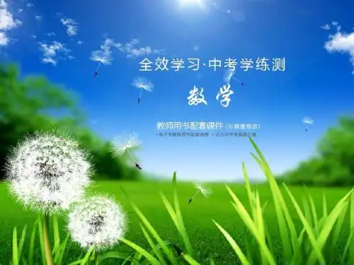 第一课时 实数的有关概念