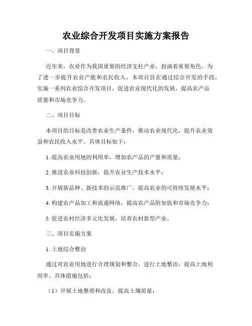 农业综合开发项目实施方案报告