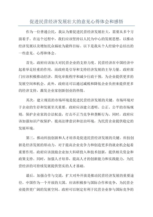 促进民营经济发展壮大的意见心得体会和感悟