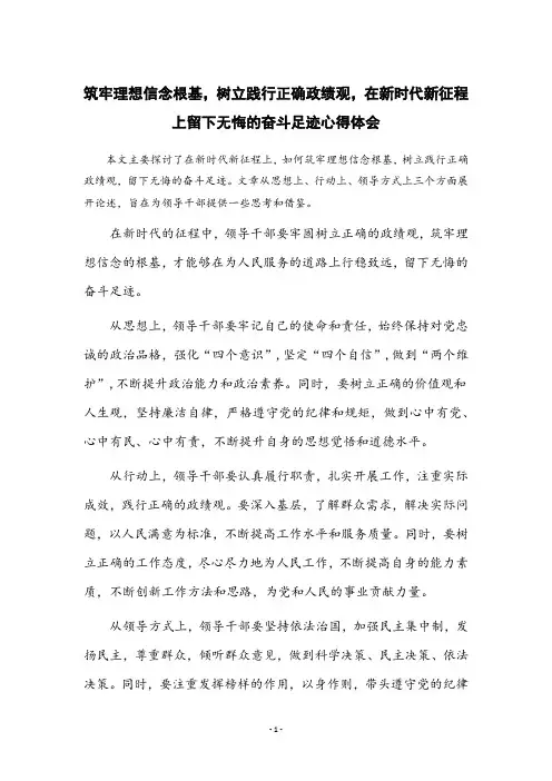 筑牢理想信念根基树立践行正确政绩观 在新时代新征程上留下无悔的奋斗足迹心得体
