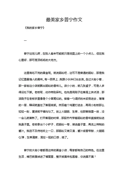最美家乡普宁作文