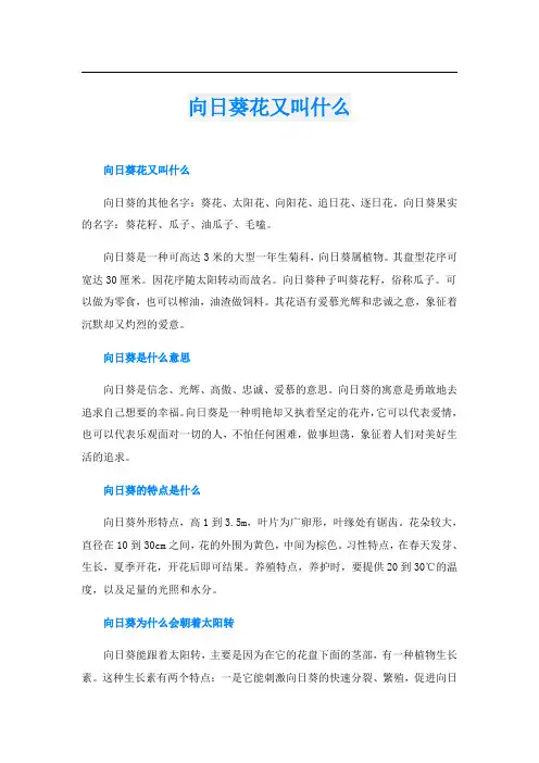向日葵花又叫什么