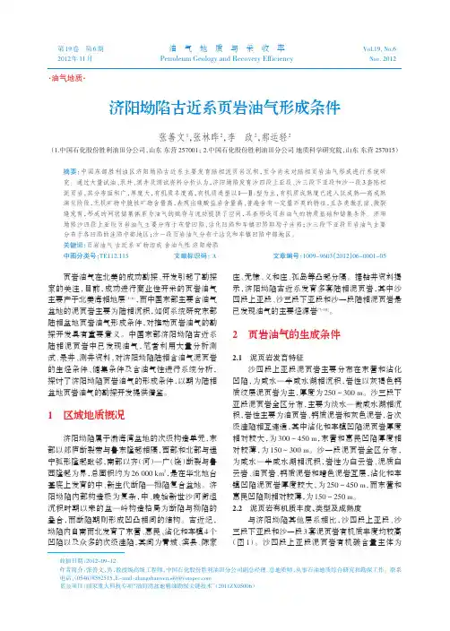 济阳坳陷古近系页岩油气形成条件