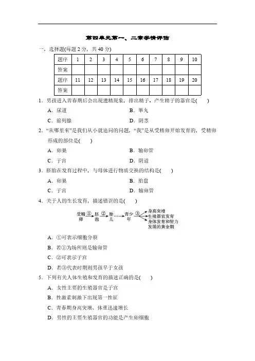 第四单元人体生理与健康 第一、二章 单元测试(含答案) 2024-2025学年人教版生物七年级下册