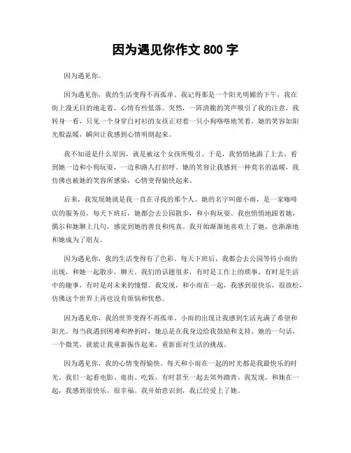 因为遇见你作文800字