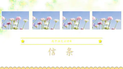 高中语文必修4《信条》 ppt课件