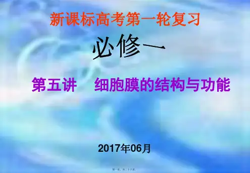 细胞膜一轮复习-细胞膜的结构与功能-M课件