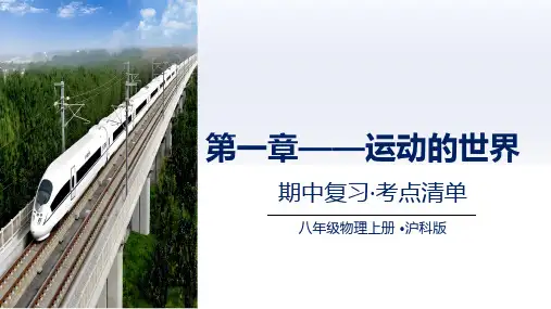 专题01 运动的世界八年级物理上学期期中考点(沪科版2024)
