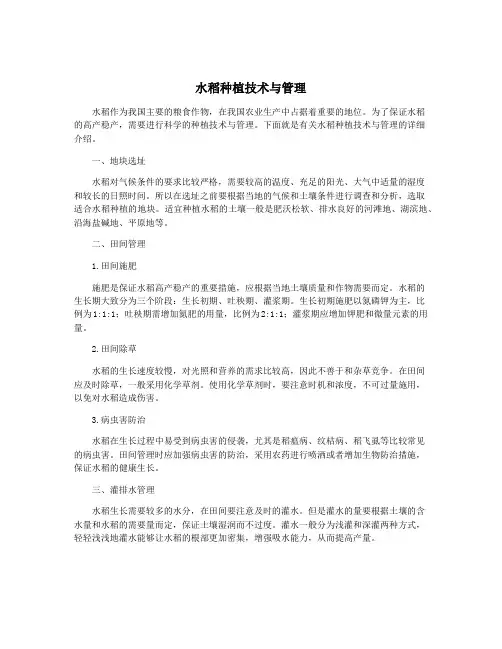 水稻种植技术与管理