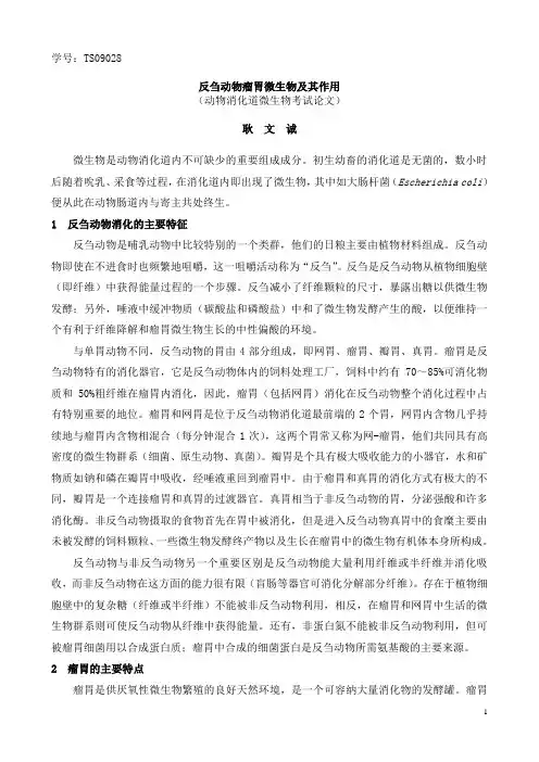 反刍动物瘤胃微生物及其作用