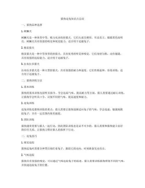 猎狗追兔知识点总结