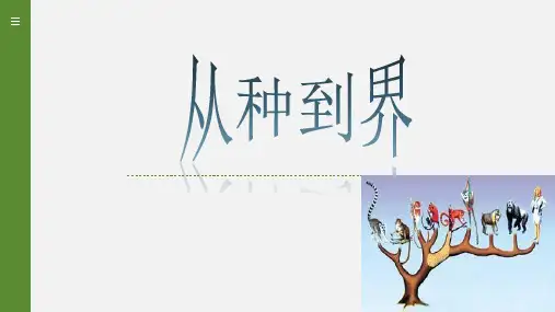 人教版八年级上册6.1.2 从种到界 课件(34张PPT).ppt