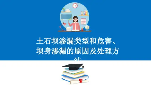 土石坝安全监测与维修养护—土石坝渗漏处理