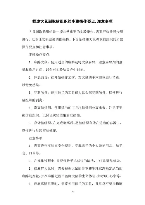 描述大鼠剥取脑组织的步骤操作要点,注意事项