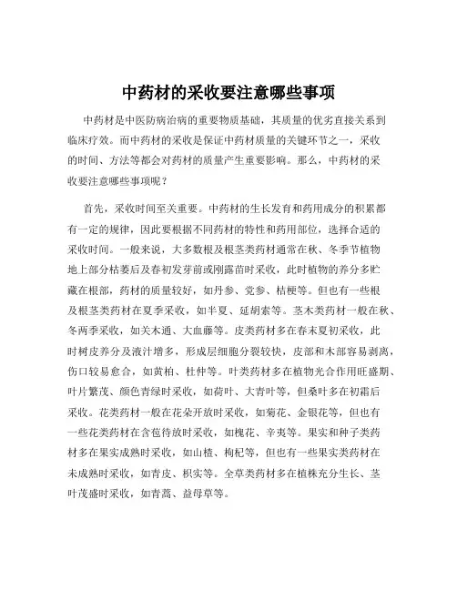 中药材的采收要注意哪些事项