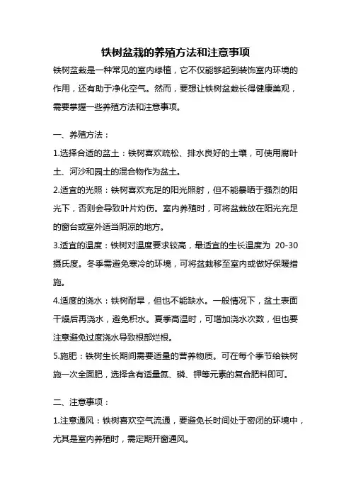 铁树盆栽的养殖方法和注意事项