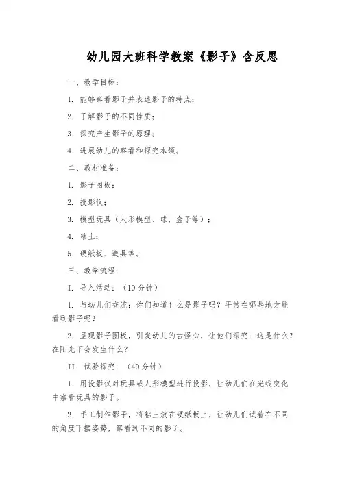 幼儿园大班科学教案《影子》含反思