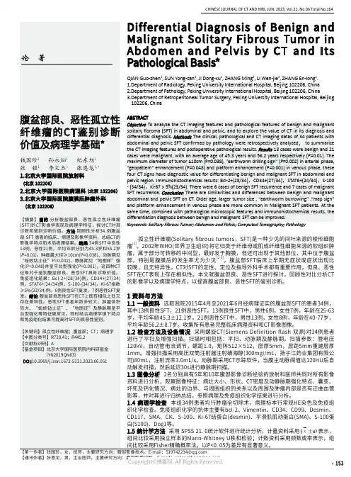 腹盆部良、恶性孤立性纤维瘤的CT鉴别诊断价值及病理学基础