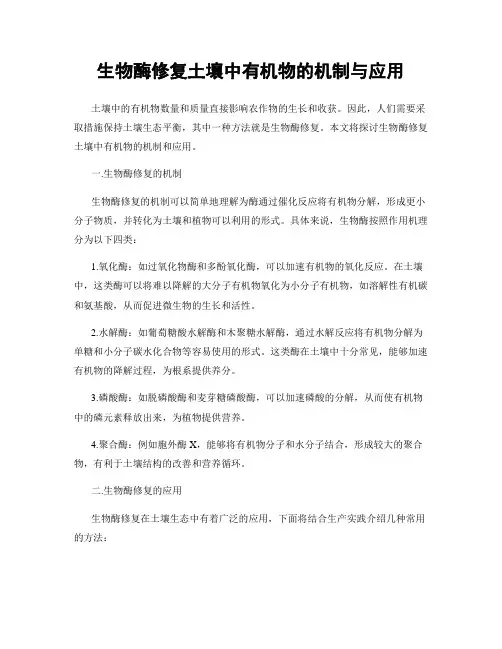 生物酶修复土壤中有机物的机制与应用