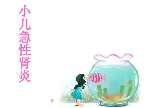 急性肾炎 ppt课件