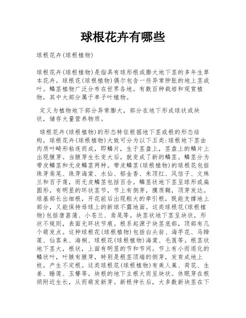 球根花卉有哪些