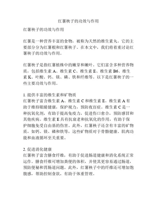 红薯秧子的功效与作用