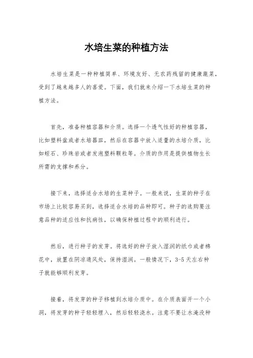 水培生菜的种植方法