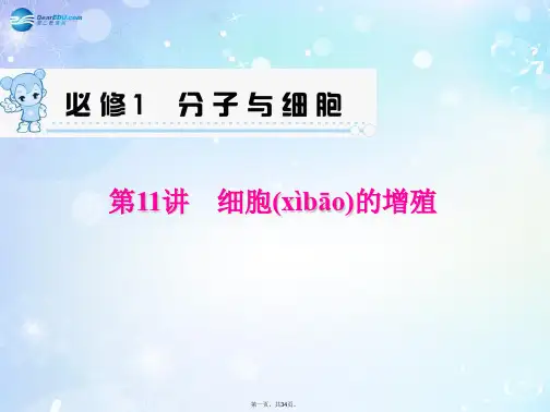 高考生物一轮总复习 第11讲 细胞的增殖配套课件 新人教版必修1