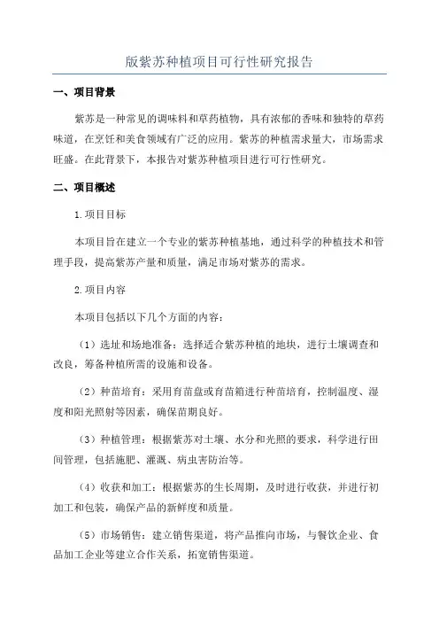 版紫苏种植项目可行性研究报告