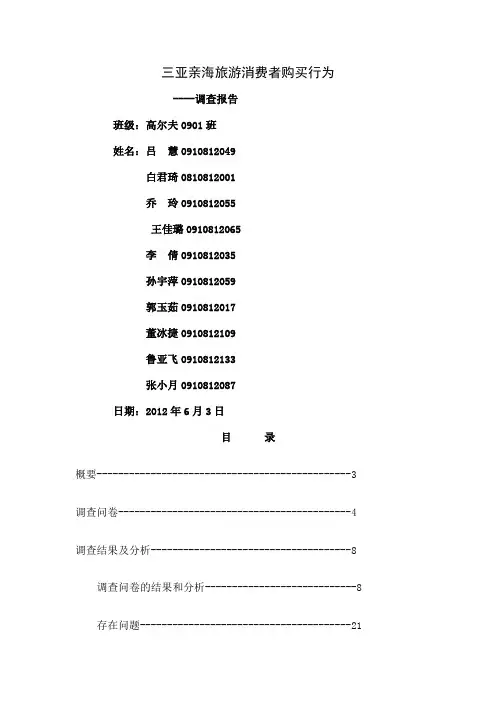 关于三亚亲海旅游消费者购买行为的调查报告-22页精选文档