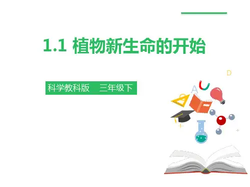 《植物新生命的开始》植物的生长变化(ppt)课件
