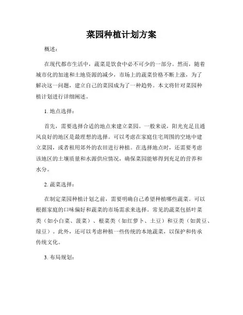 菜园种植计划方案