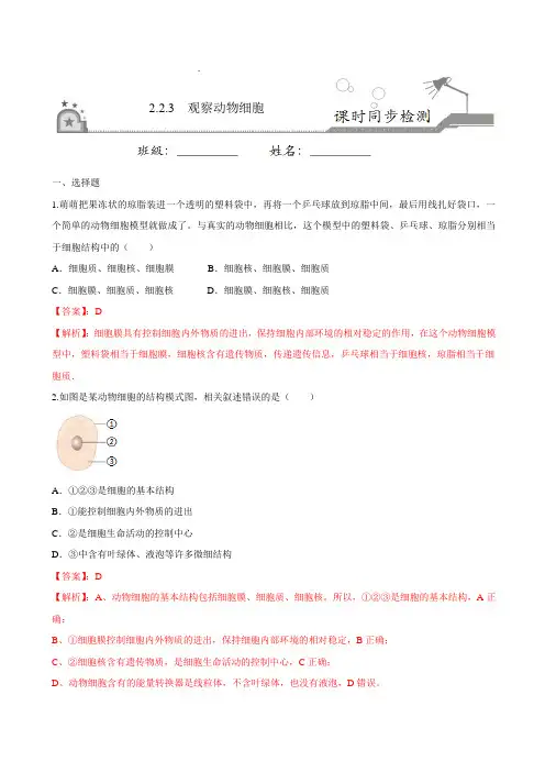 2-1-3观察动物细胞-六年级上册课时练(鲁科版五四制)(解析版)