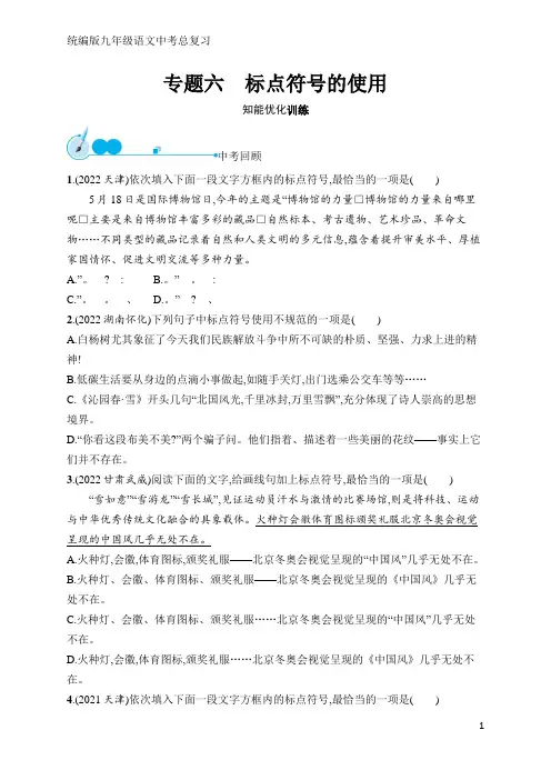 统编版九年级语文中考总复习专题6 标点符号的使用(含答案)