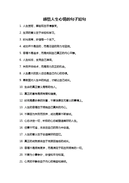 感悟人生心情的句子短句