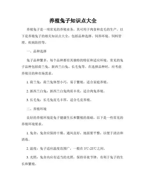 养殖兔子知识点大全