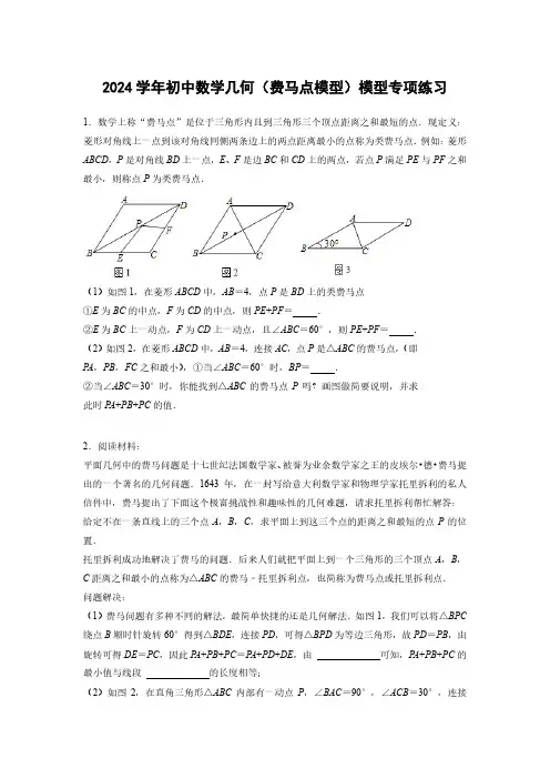 2024学年初中数学几何(费马点模型)模型专项练习(附答案)