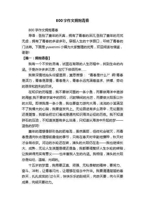 800字作文拥抱青春