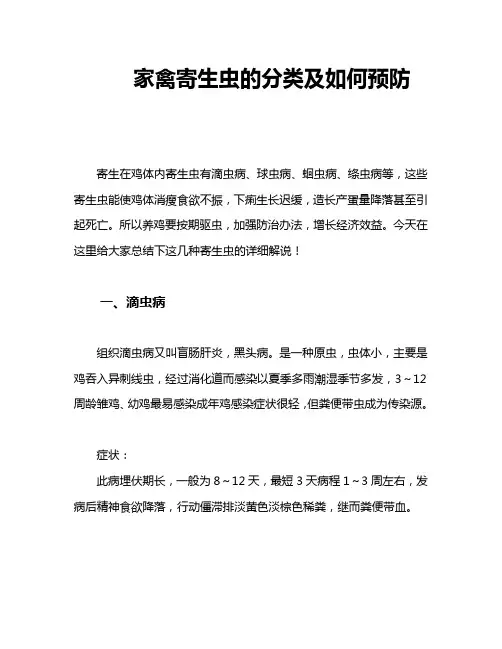 家禽寄生虫的分类及如何预防