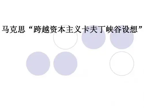 卡夫丁峡谷理论