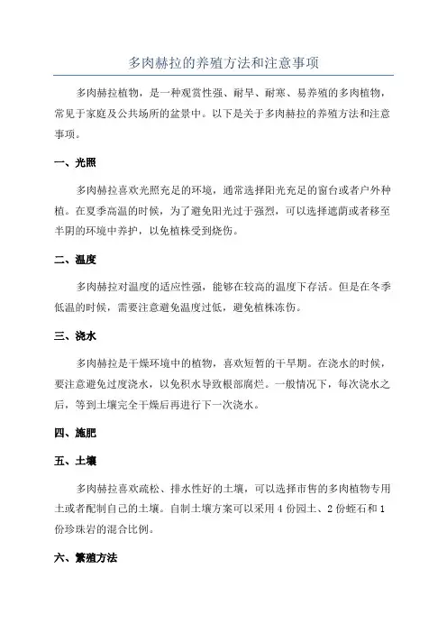 多肉赫拉的养殖方法和注意事项