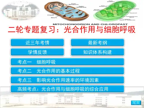 高考二轮复习光合作用与细胞呼吸实用PPT-完美课件
